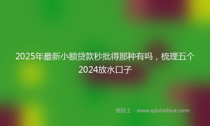 2025年最新小额贷款秒批得那种有吗，梳理五个2024放水口子