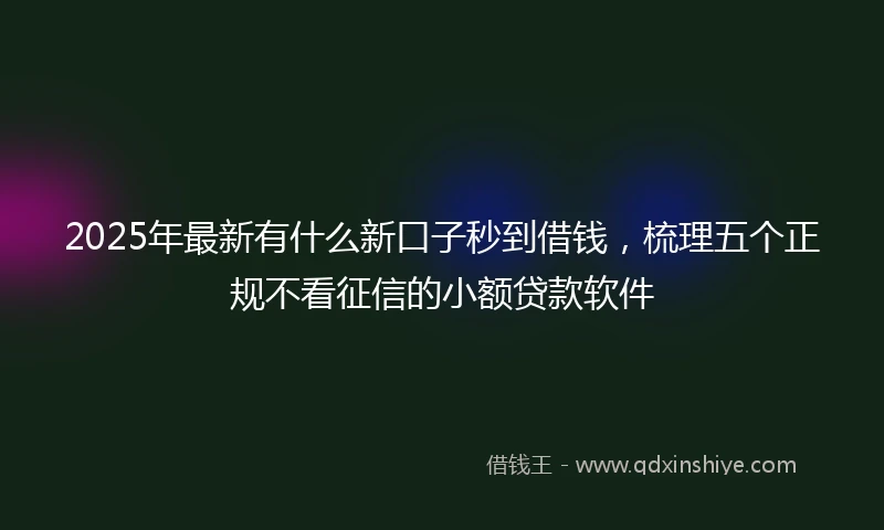 2025年最新有什么新口子秒到借钱，梳理五个正规不看征信的小额贷款软件