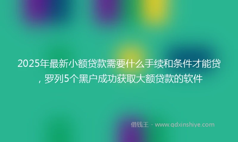2025年最新小额贷款需要什么手续和条件才能贷，罗列5个黑户成功获取大额贷款的软件