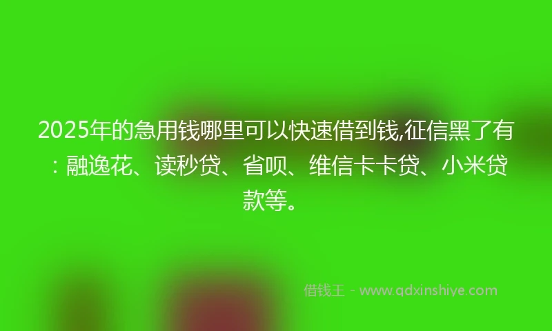 2025年的急用钱哪里可以快速借到钱,征信黑了有：融逸花、读秒贷、省呗、维信卡卡贷、小米贷款等。