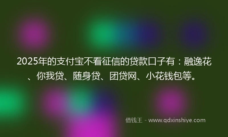 2025年的支付宝不看征信的贷款口子有：融逸花、你我贷、随身贷、团贷网、小花钱包等。