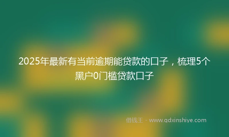 2025年最新有当前逾期能贷款的口子，梳理5个黑户0门槛贷款口子