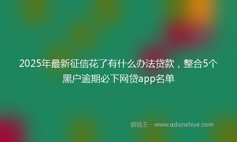 2025年最新征信花了有什么办法贷款，整合5个黑户逾期必下网贷app名单