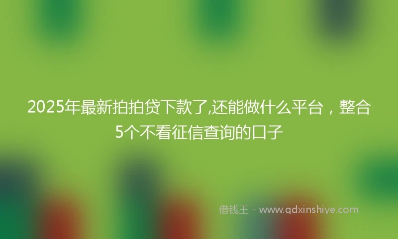 2025年最新拍拍贷下款了,还能做什么平台，整合5个不看征信查询的口子