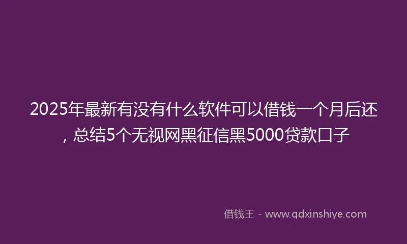 2025年最新有没有什么软件可以借钱一个月后还，总结5个无视网黑征信黑5000贷款口子