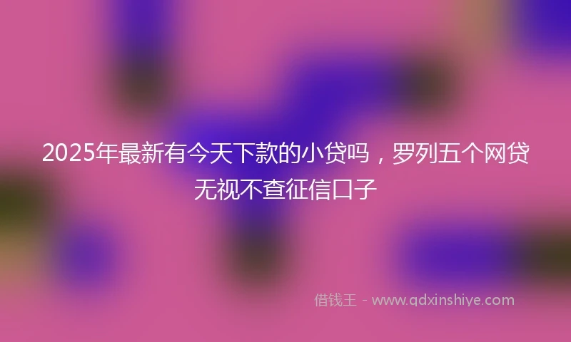 2025年最新有今天下款的小贷吗，罗列五个网贷无视不查征信口子