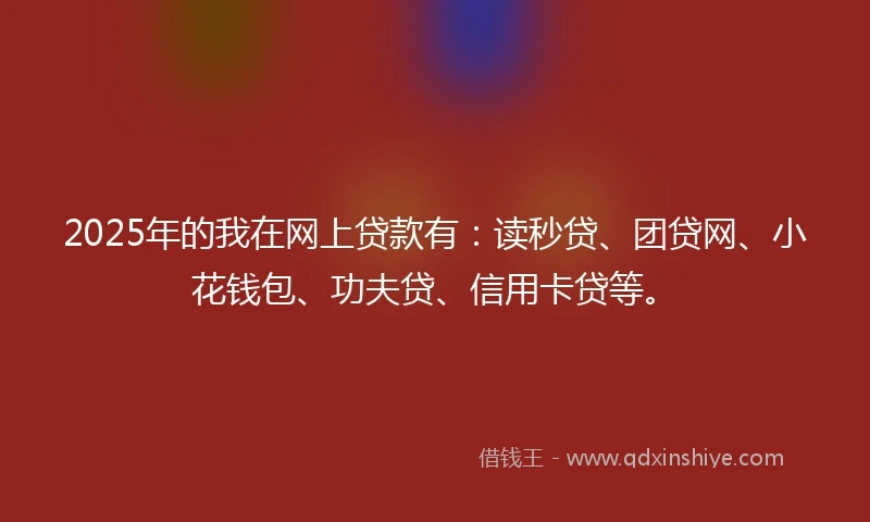 2025年的我在网上贷款有：读秒贷、团贷网、小花钱包、功夫贷、信用卡贷等。