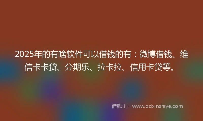 2025年的有啥软件可以借钱的有：微博借钱、维信卡卡贷、分期乐、拉卡拉、信用卡贷等。
