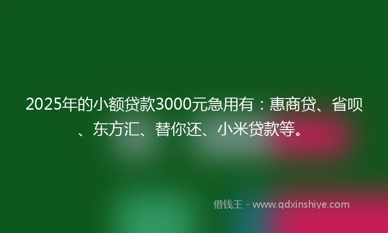 2025年的小额贷款3000元急用有：惠商贷、省呗、东方汇、替你还、小米贷款等。