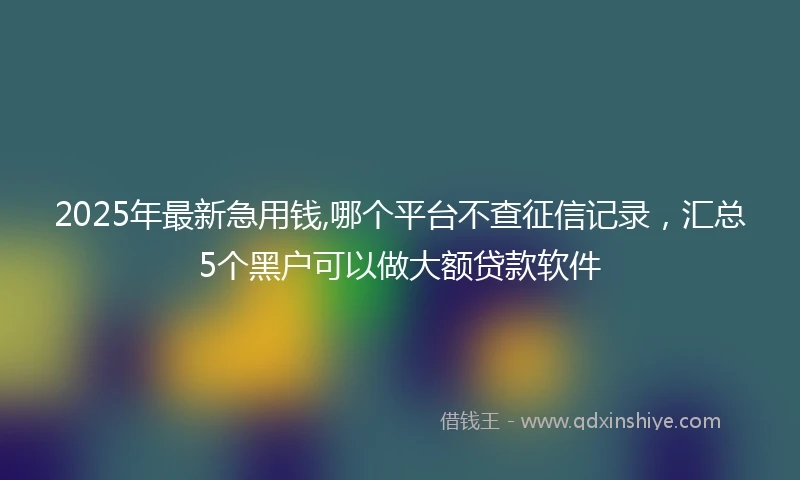 2025年最新急用钱,哪个平台不查征信记录，汇总5个黑户可以做大额贷款软件