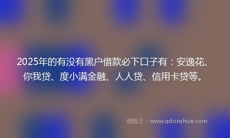 2025年的有没有黑户借款必下口子有：安逸花、你我贷、度小满金融、人人贷、信用卡贷等。