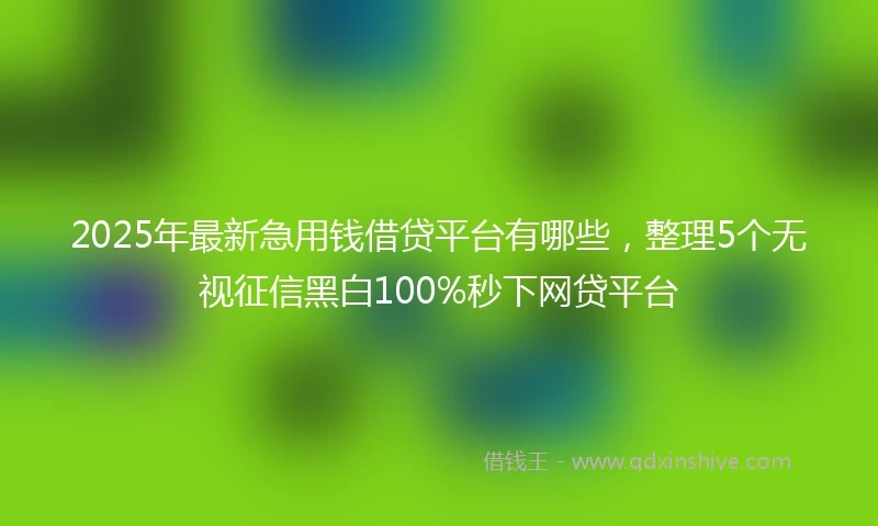 2025年最新急用钱借贷平台有哪些，整理5个无视征信黑白100%秒下网贷平台