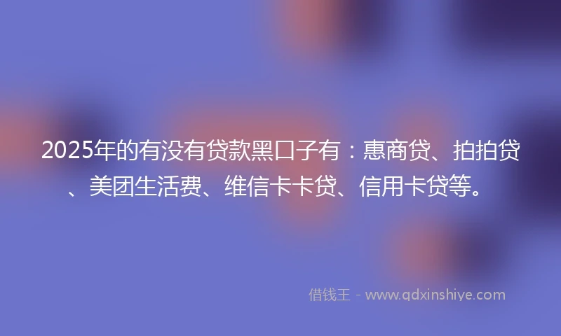 2025年的有没有贷款黑口子有：惠商贷、拍拍贷、美团生活费、维信卡卡贷、信用卡贷等。