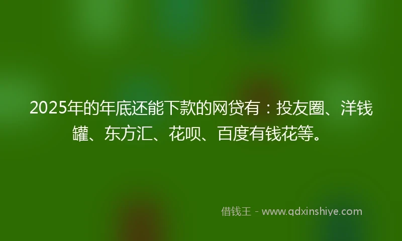 2025年的年底还能下款的网贷有：投友圈、洋钱罐、东方汇、花呗、百度有钱花等。