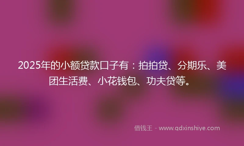 2025年的小额贷款口子有：拍拍贷、分期乐、美团生活费、小花钱包、功夫贷等。