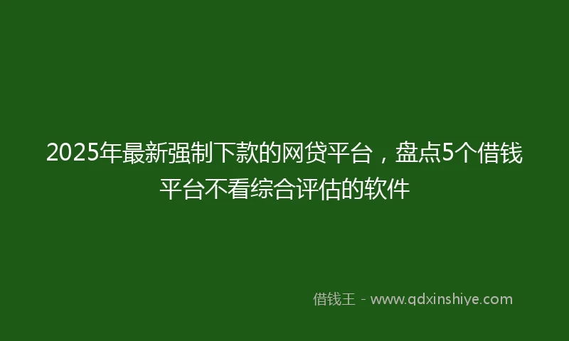 2025年最新强制下款的网贷平台，盘点5个借钱平台不看综合评估的软件