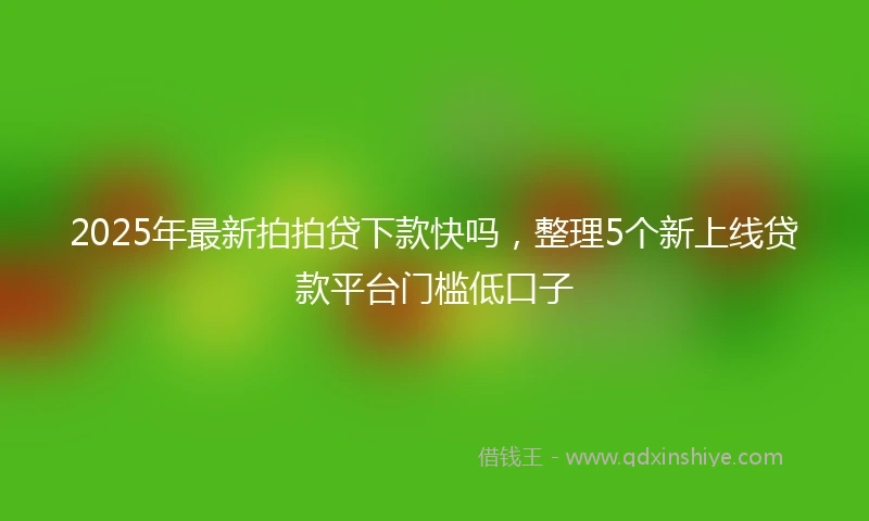 2025年最新拍拍贷下款快吗，整理5个新上线贷款平台门槛低口子