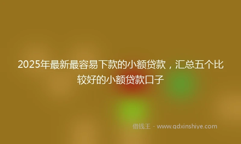 2025年最新最容易下款的小额贷款，汇总五个比较好的小额贷款口子