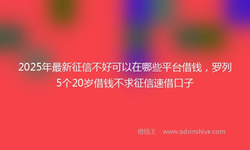 2025年最新征信不好可以在哪些平台借钱，罗列5个20岁借钱不求征信速借口子