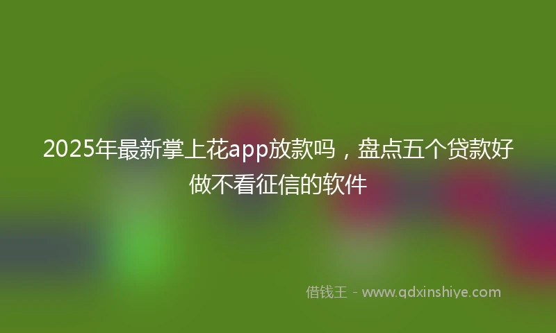 2025年最新掌上花app放款吗，盘点五个贷款好做不看征信的软件