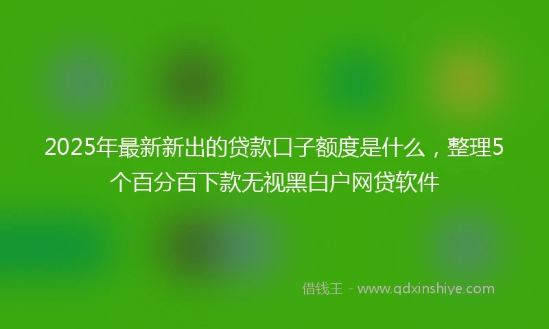 2025年最新新出的贷款口子额度是什么，整理5个百分百下款无视黑白户网贷软件
