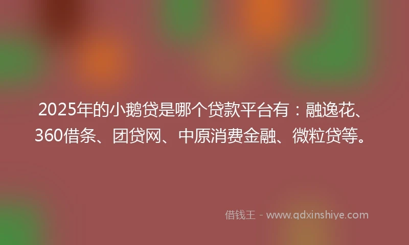 2025年的小鹅贷是哪个贷款平台有：融逸花、360借条、团贷网、中原消费金融、微粒贷等。