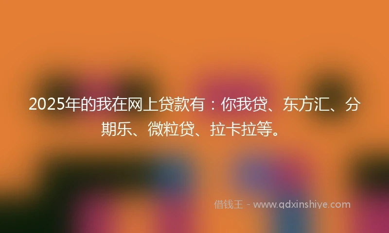2025年的我在网上贷款有：你我贷、东方汇、分期乐、微粒贷、拉卡拉等。