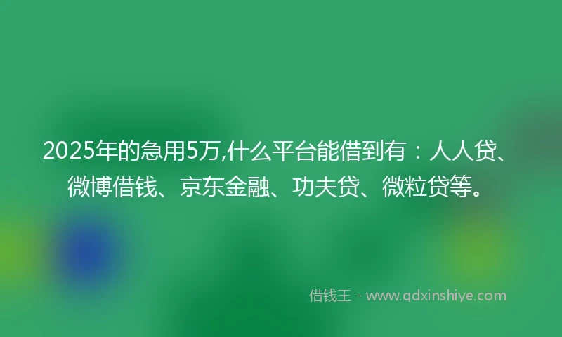 2025年的急用5万,什么平台能借到有：人人贷、微博借钱、京东金融、功夫贷、微粒贷等。