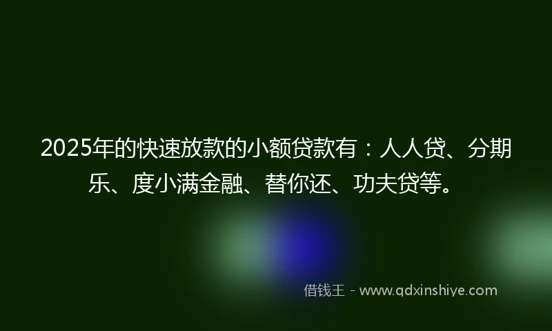 2025年的快速放款的小额贷款有：人人贷、分期乐、度小满金融、替你还、功夫贷等。