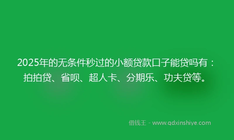 2025年的无条件秒过的小额贷款口子能贷吗有：拍拍贷、省呗、超人卡、分期乐、功夫贷等。