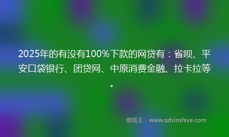 2025年的有没有100%下款的网贷有：省呗、平安口袋银行、团贷网、中原消费金融、拉卡拉等。