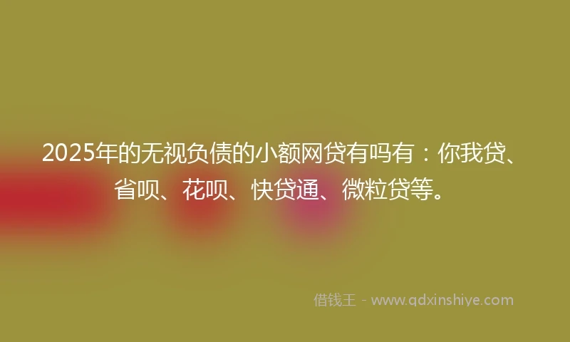 2025年的无视负债的小额网贷有吗有：你我贷、省呗、花呗、快贷通、微粒贷等。