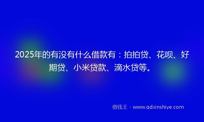 2025年的有没有什么借款有：拍拍贷、花呗、好期贷、小米贷款、滴水贷等。