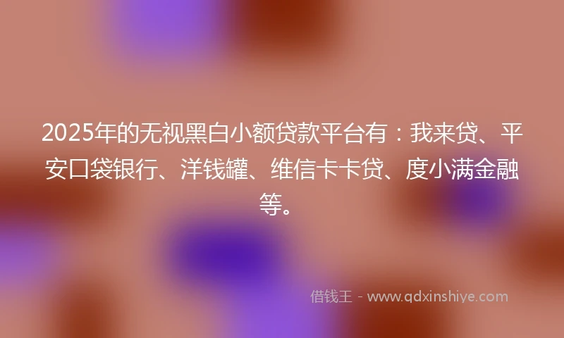 2025年的无视黑白小额贷款平台有：我来贷、平安口袋银行、洋钱罐、维信卡卡贷、度小满金融等。