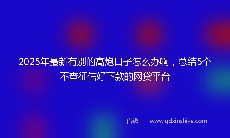 2025年最新有别的高炮口子怎么办啊，总结5个不查征信好下款的网贷平台