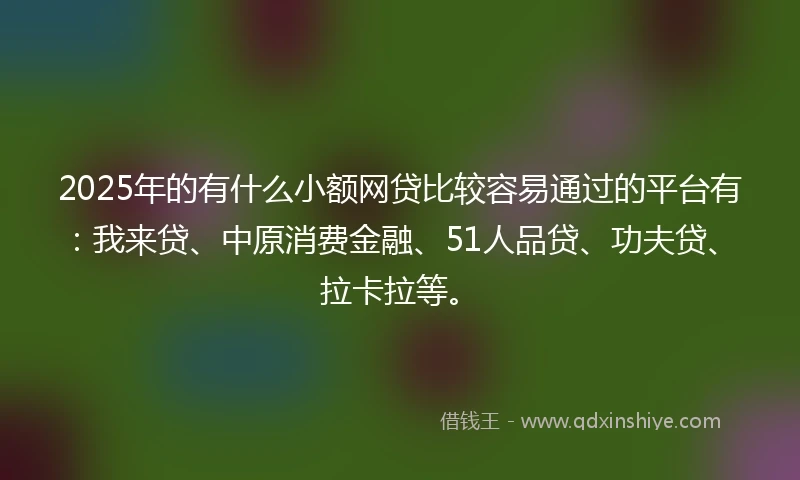 2025年的有什么小额网贷比较容易通过的平台有：我来贷、中原消费金融、51人品贷、功夫贷、拉卡拉等。