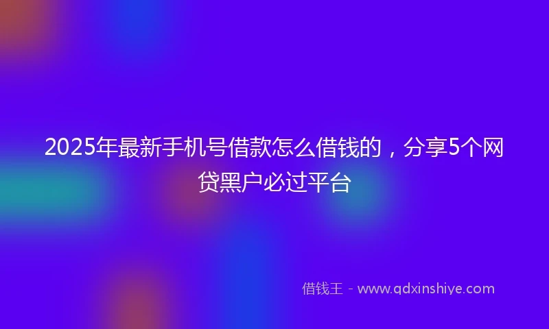 2025年最新手机号借款怎么借钱的，分享5个网贷黑户必过平台