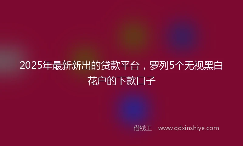 2025年最新新出的贷款平台，罗列5个无视黑白花户的下款口子