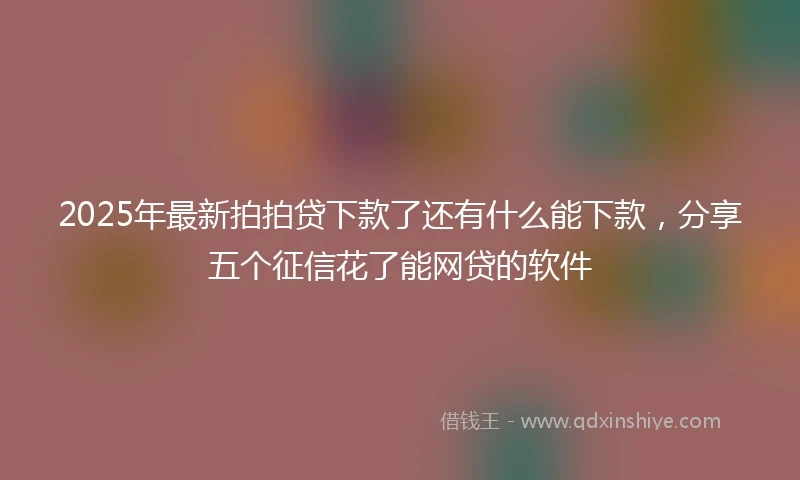 2025年最新拍拍贷下款了还有什么能下款，分享五个征信花了能网贷的软件