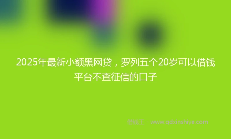 2025年最新小额黑网贷，罗列五个20岁可以借钱平台不查征信的口子