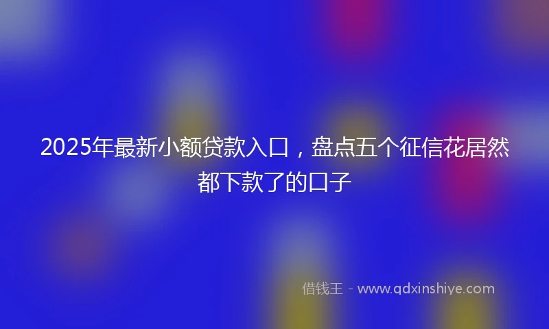 2025年最新小额贷款入口，盘点五个征信花居然都下款了的口子