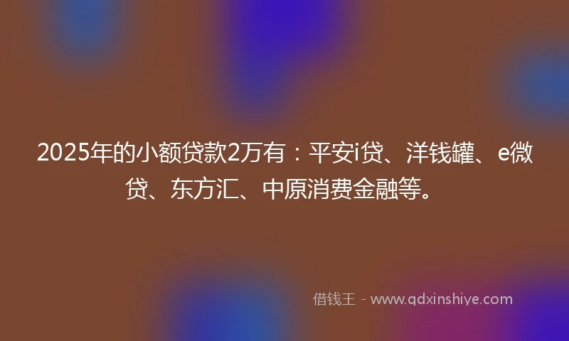 2025年的小额贷款2万有：平安i贷、洋钱罐、e微贷、东方汇、中原消费金融等。