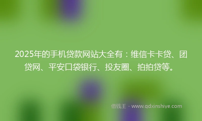 2025年的手机贷款网站大全有：维信卡卡贷、团贷网、平安口袋银行、投友圈、拍拍贷等。