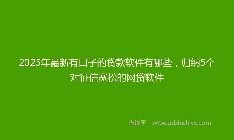 2025年最新有口子的贷款软件有哪些，归纳5个对征信宽松的网贷软件