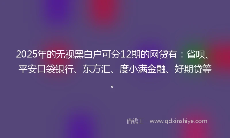 2025年的无视黑白户可分12期的网贷有：省呗、平安口袋银行、东方汇、度小满金融、好期贷等。