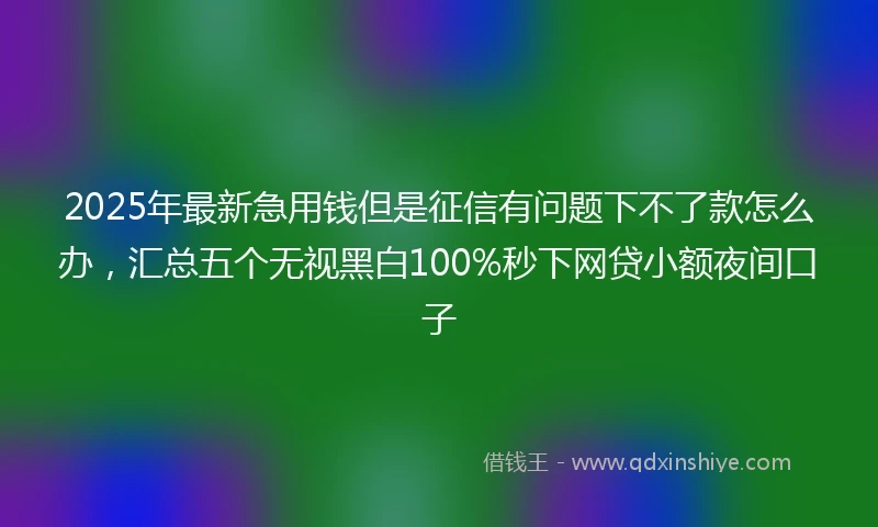 2025年最新急用钱但是征信有问题下不了款怎么办，汇总五个无视黑白100%秒下网贷小额夜间口子
