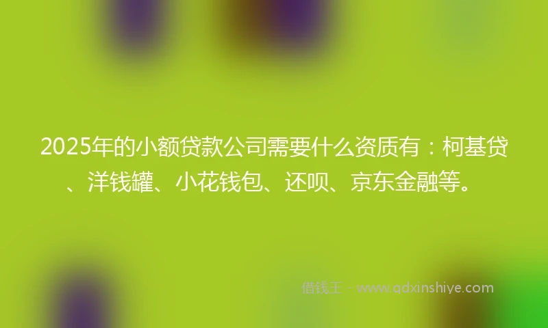 2025年的小额贷款公司需要什么资质有：柯基贷、洋钱罐、小花钱包、还呗、京东金融等。