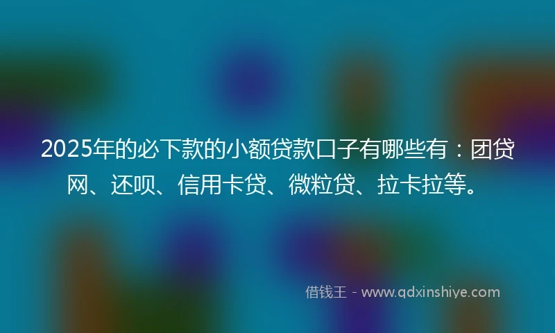 2025年的必下款的小额贷款口子有哪些有：团贷网、还呗、信用卡贷、微粒贷、拉卡拉等。