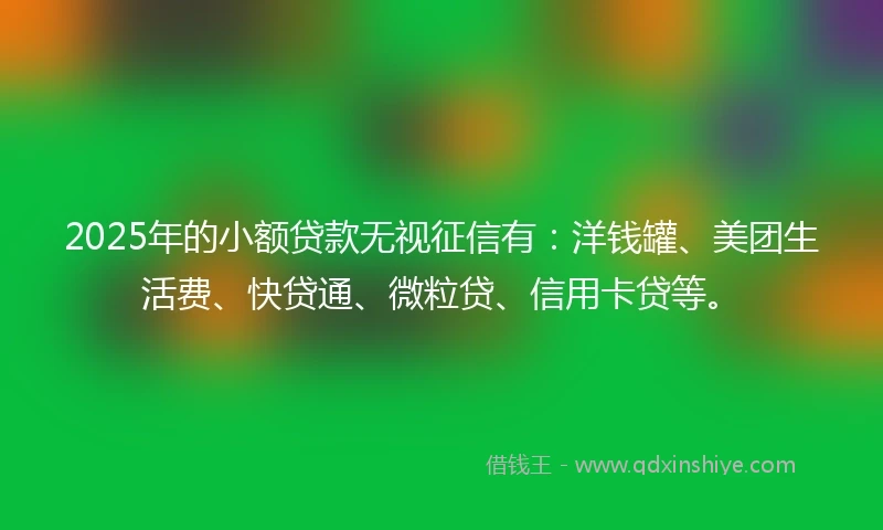 2025年的小额贷款无视征信有：洋钱罐、美团生活费、快贷通、微粒贷、信用卡贷等。