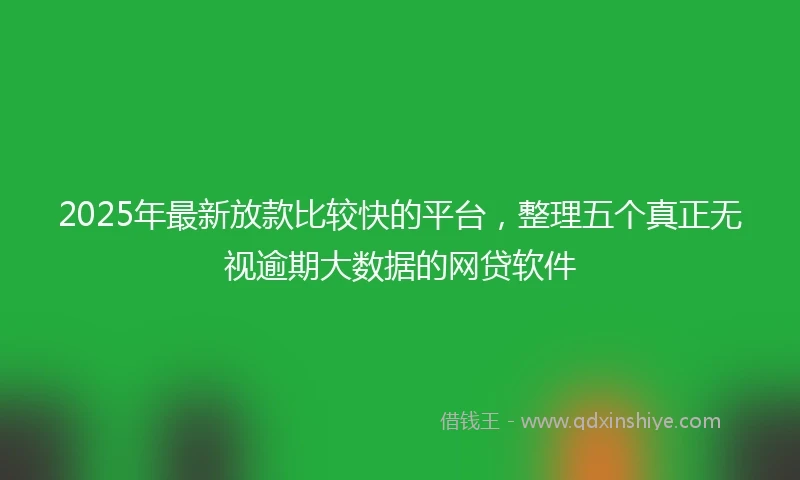 2025年最新放款比较快的平台，整理五个真正无视逾期大数据的网贷软件